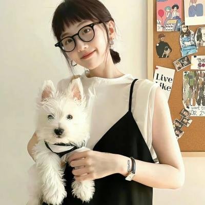整编特工